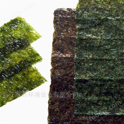空氣能紫菜烘干機海苔烘干設備