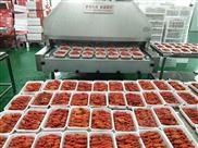 冷凍海參大中.小型隧道式液氮速凍機 柜式速凍