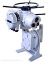 羅托克rotork IA90/IS40.3多回轉(zhuǎn)智能調(diào)節(jié)型