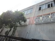 大功率排風(fēng)扇廠家,1000尺寸排風(fēng)風(fēng)機(jī)供應(yīng)